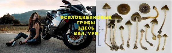 трава Алексин