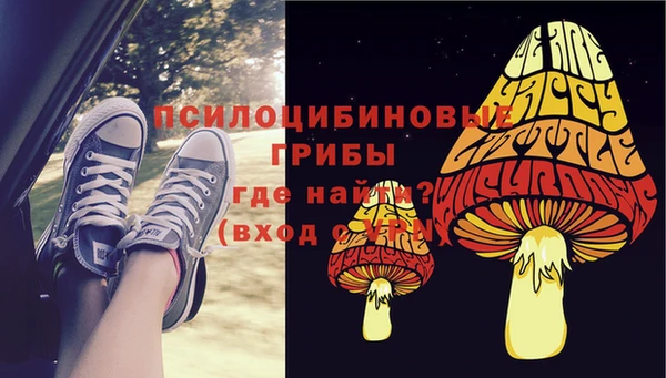 винт Алзамай