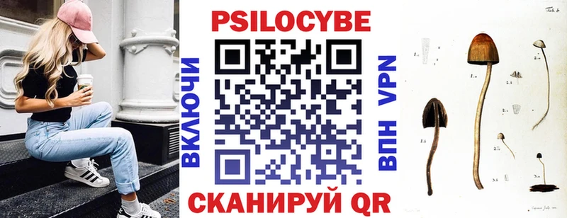 мега маркетплейс  Осинники  Псилоцибиновые грибы Cubensis 